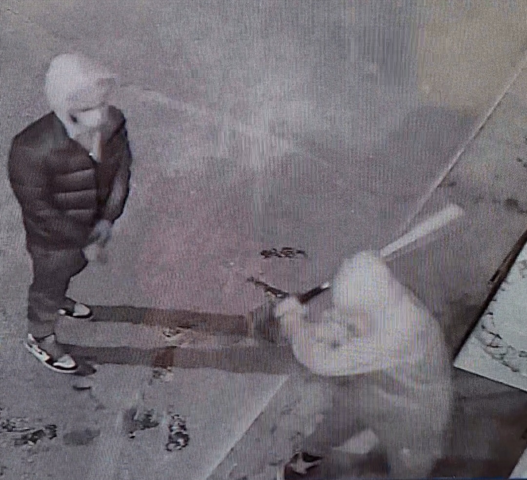 M&M 2 (2).jpeg (398 KB)