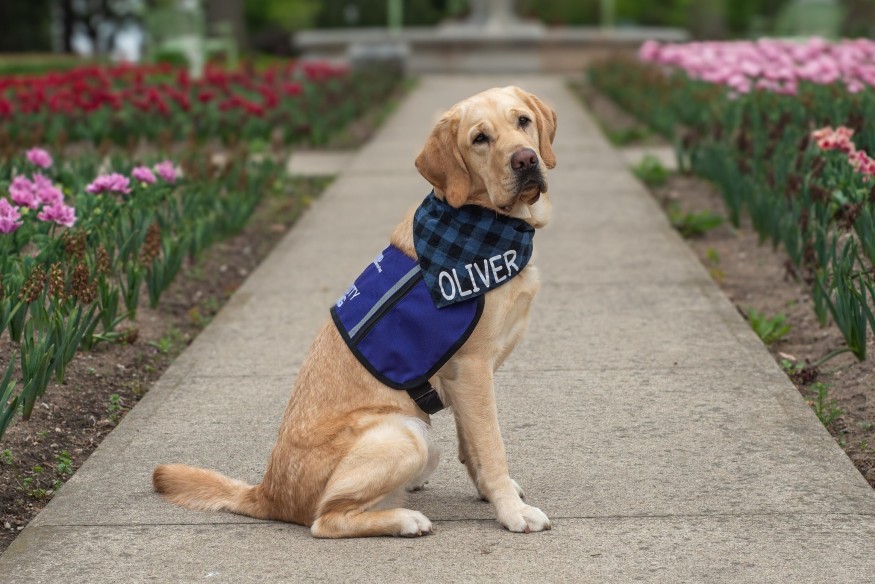 Une nouvelle recrue rejoint les rangs du Service de police de Cornwall